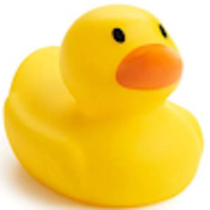 Meet your Posher, Donald